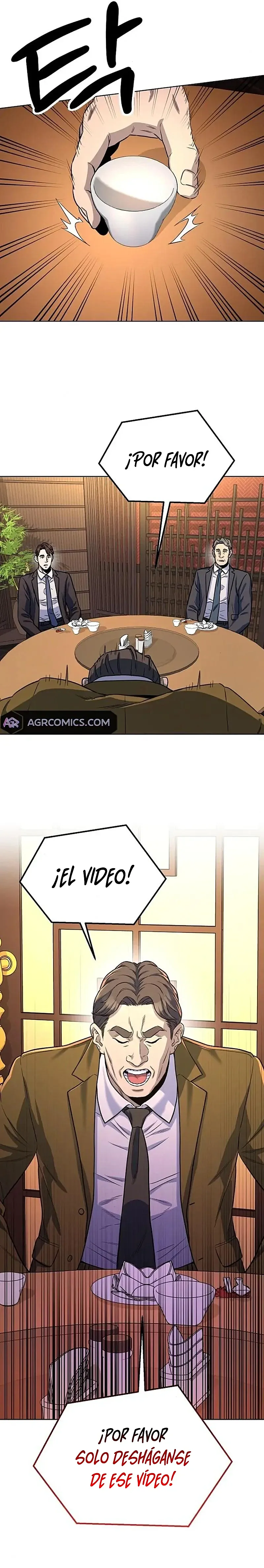 Página 17