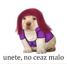 Página 23