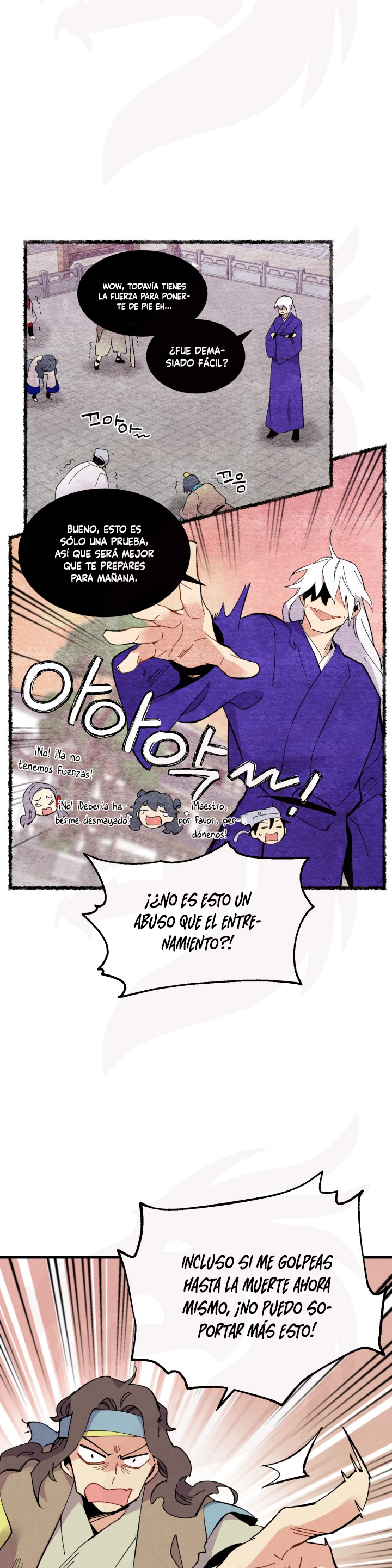 Página 17