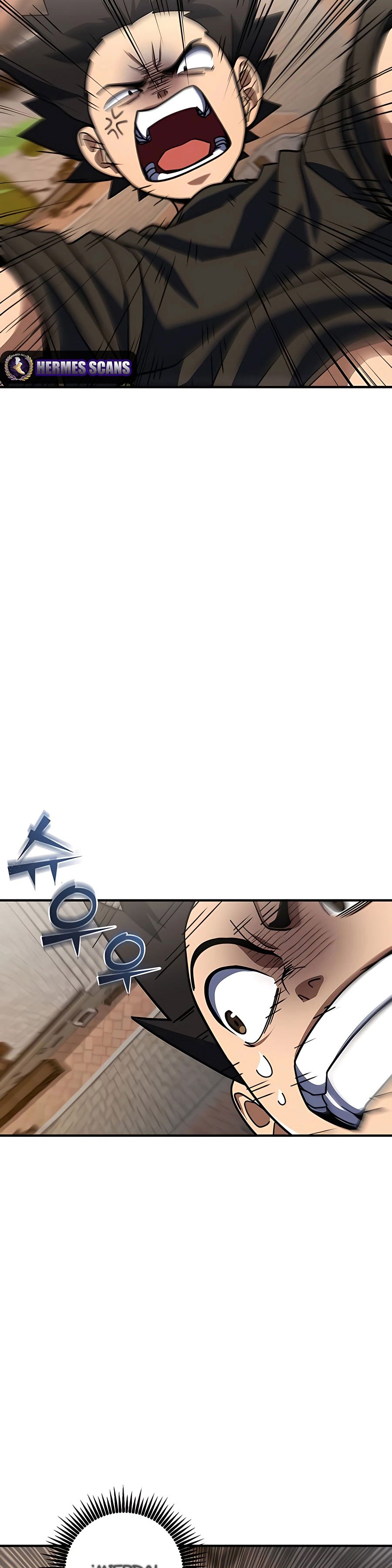 Página 42