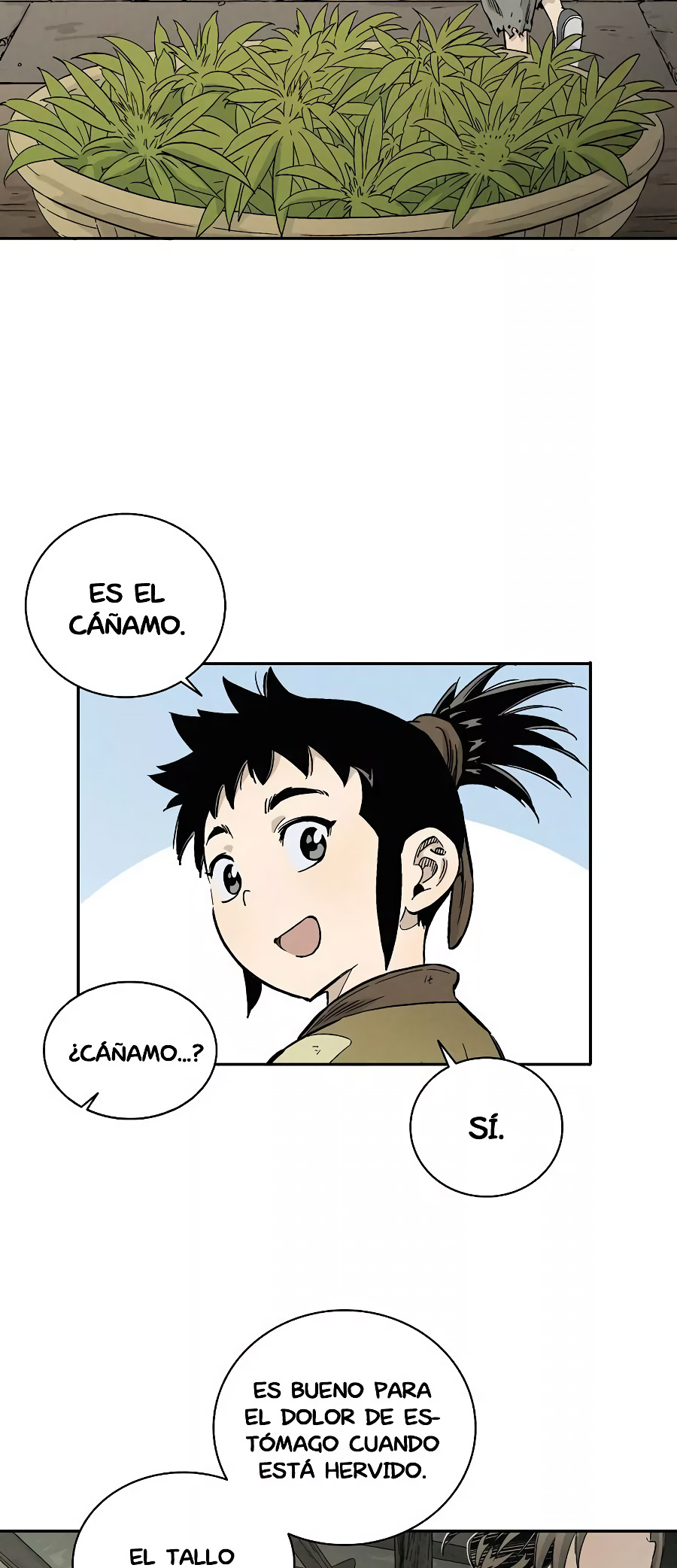 Página 26