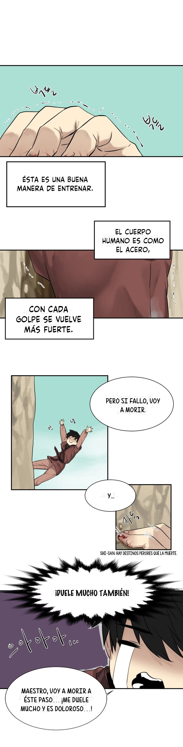 Página 17