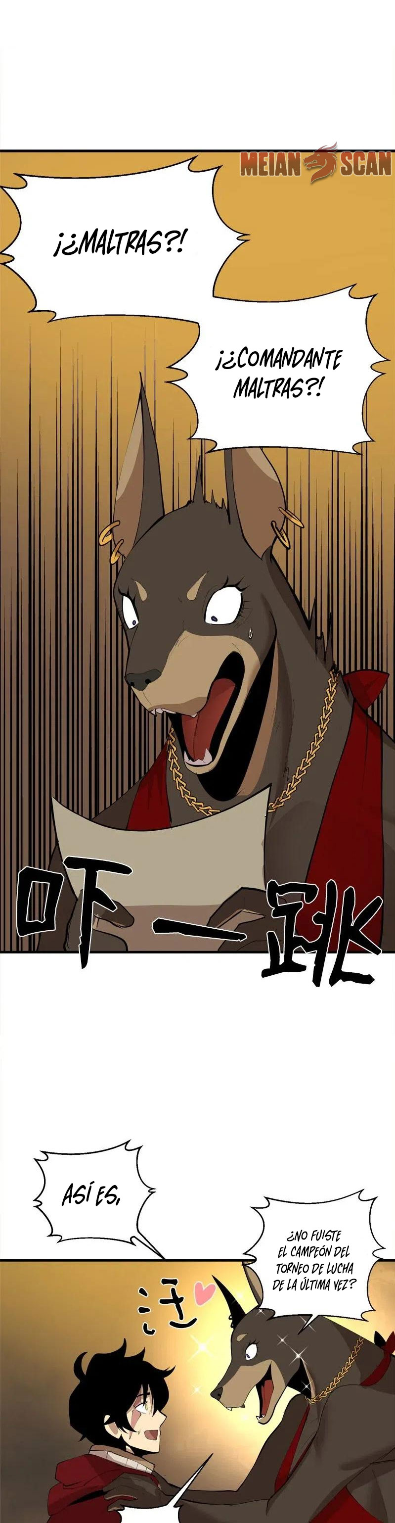 Página 17
