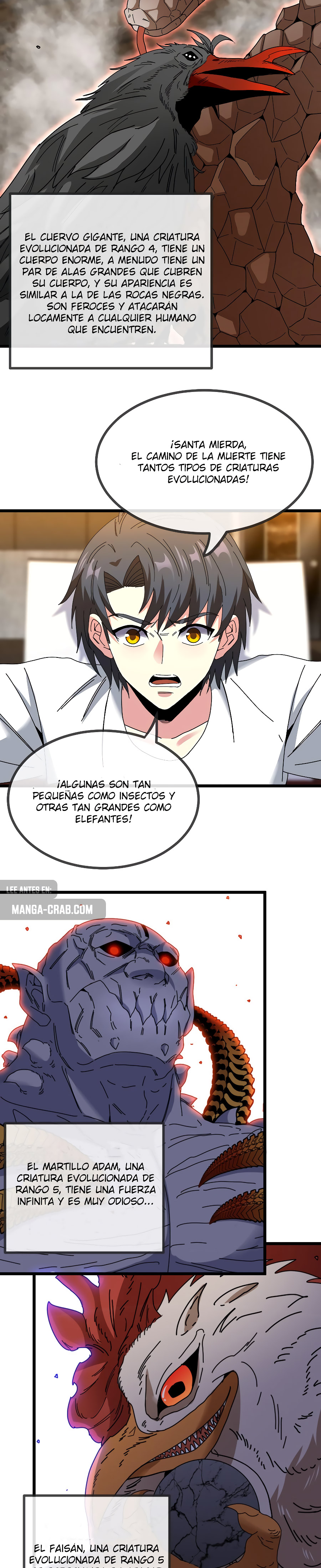 Página 13