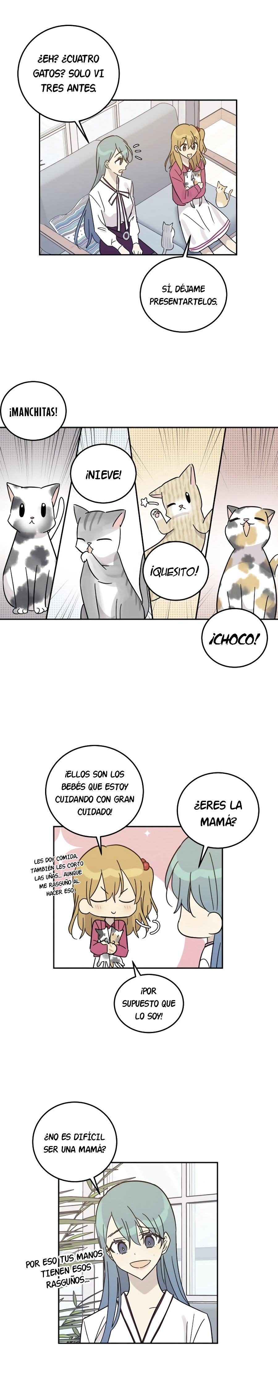 Página 8