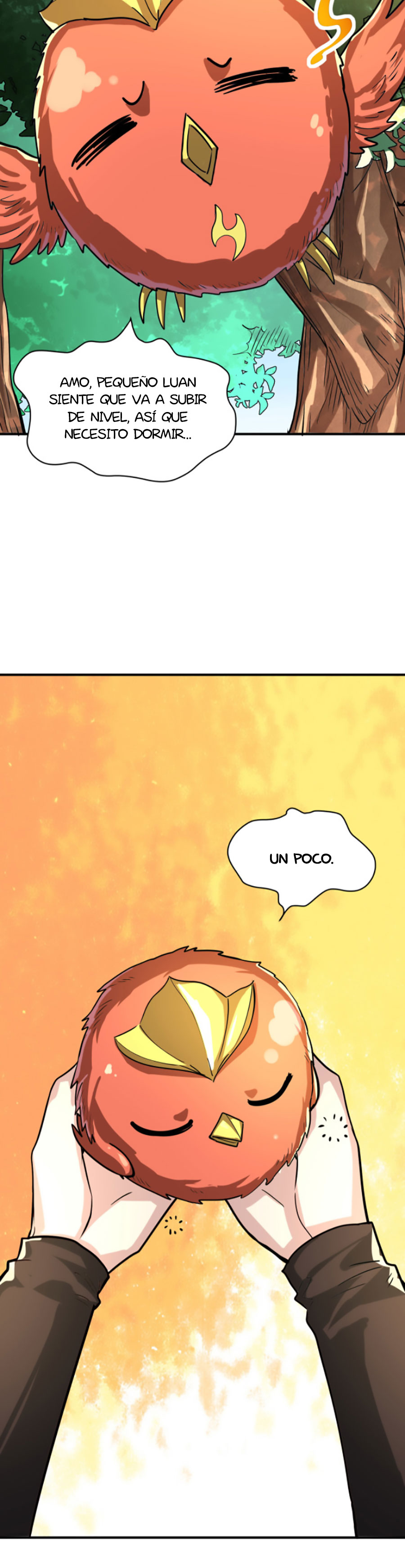 Página 11