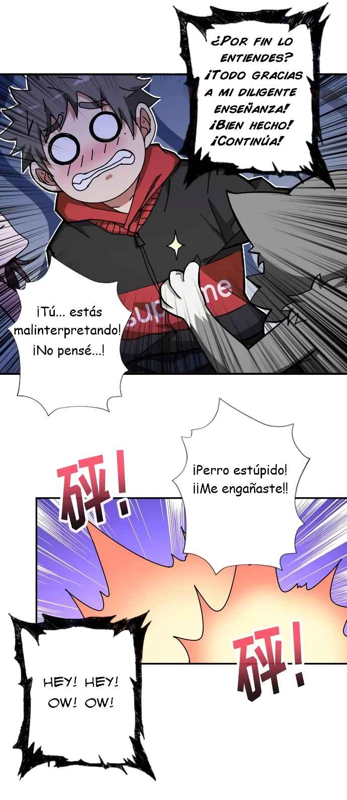 Página 5