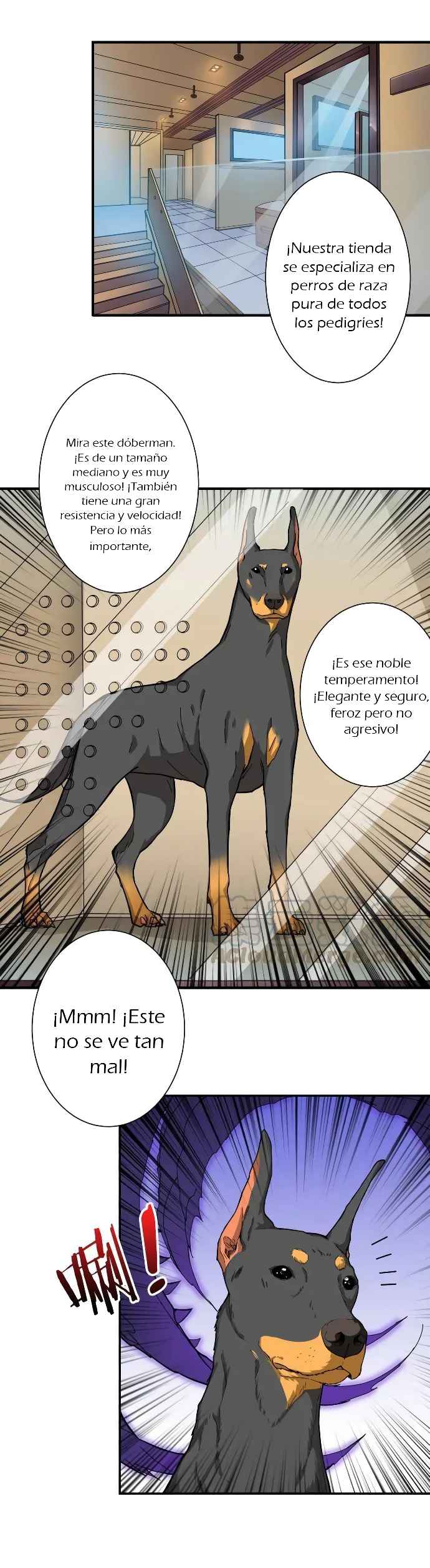 Página 4
