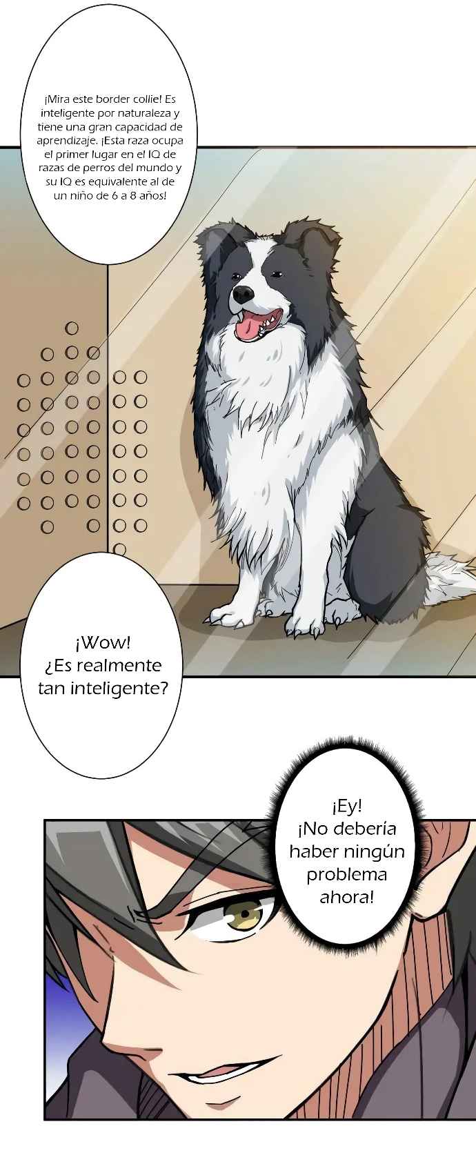 Página 6
