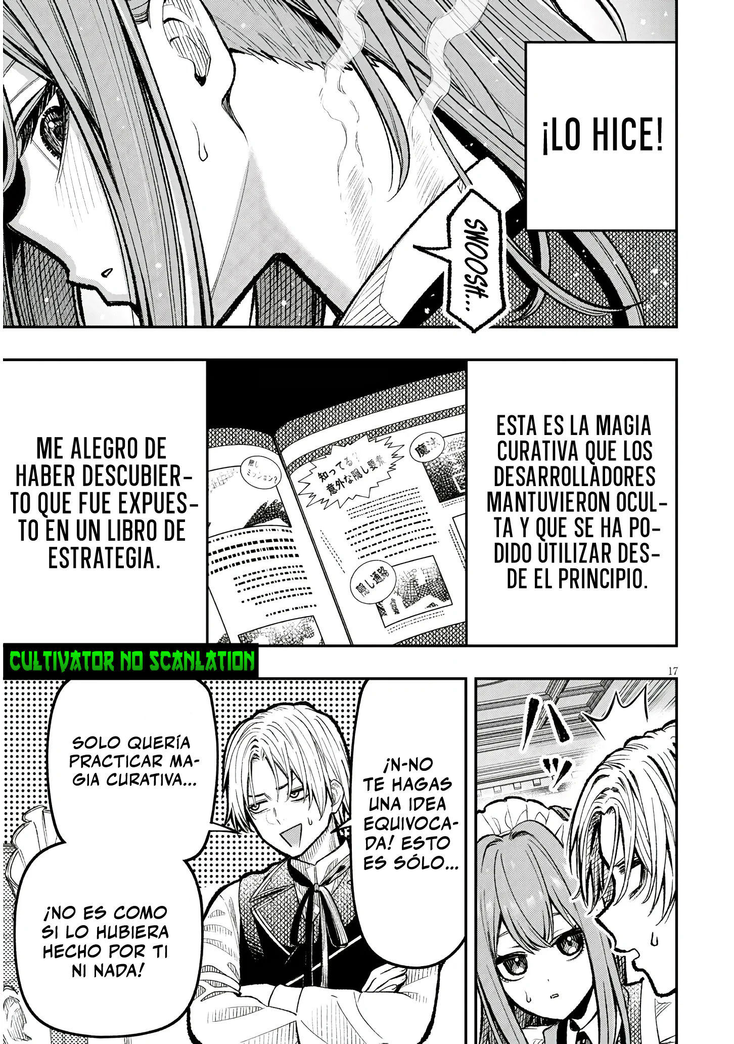 Página 17