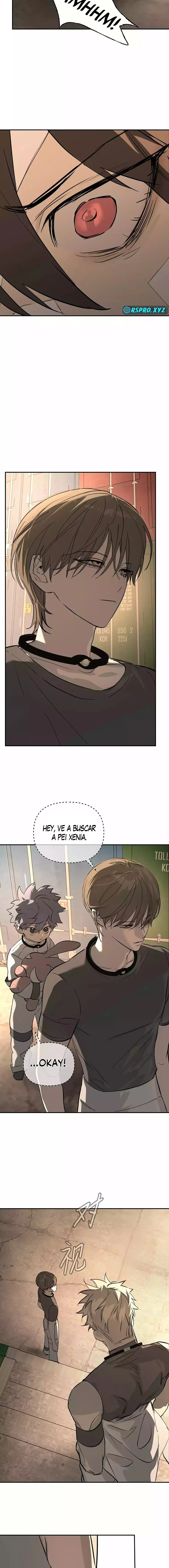 Página 11