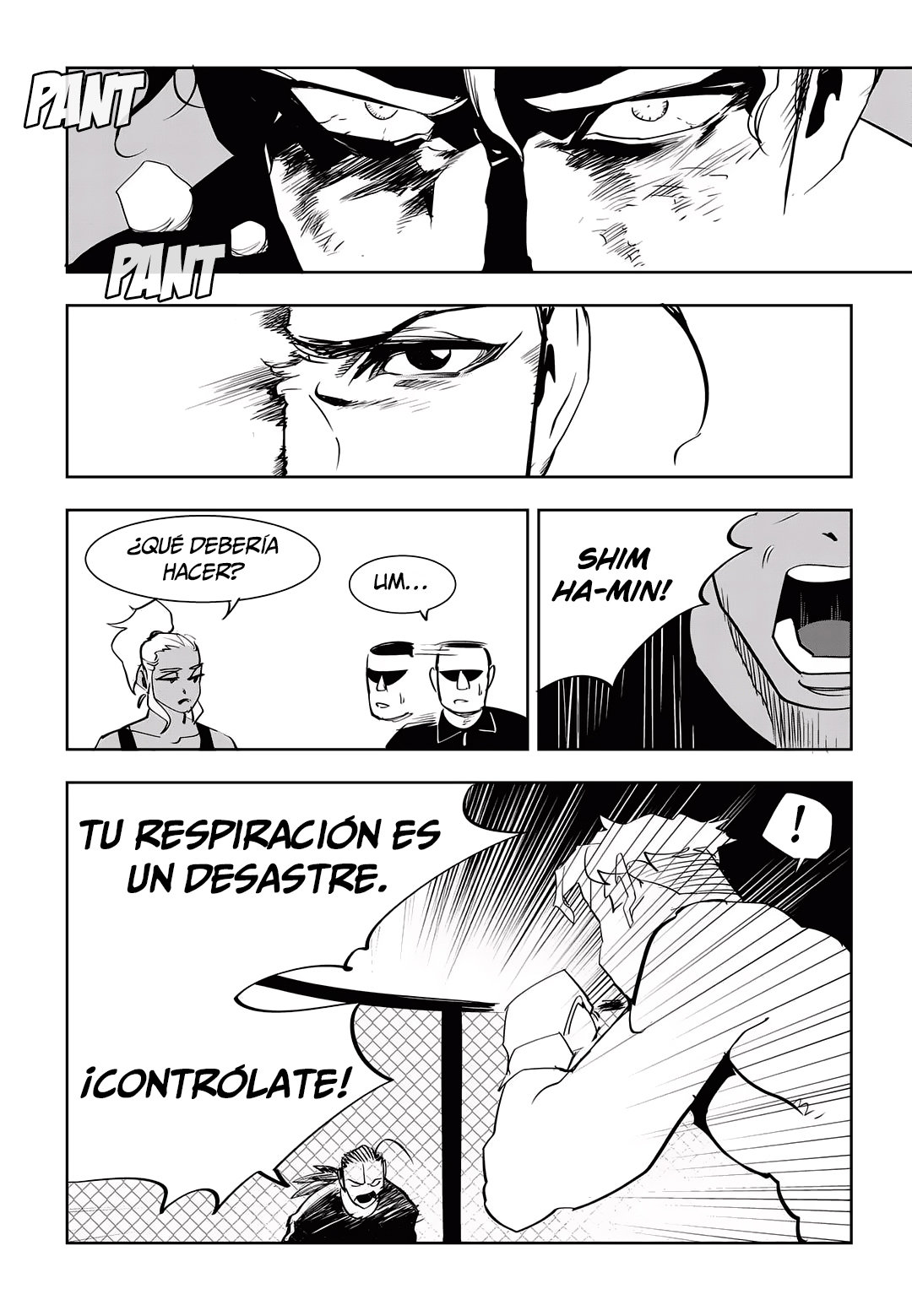 Página 17