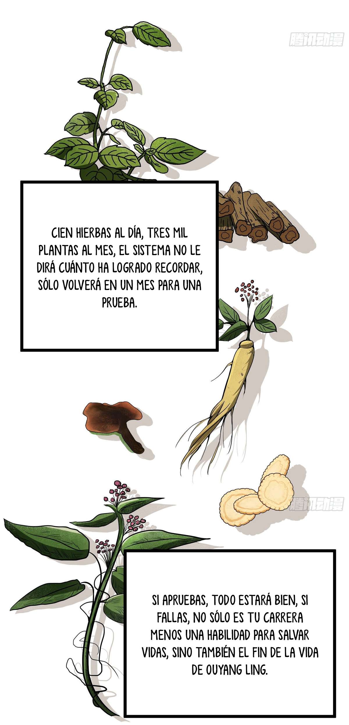 Página 54