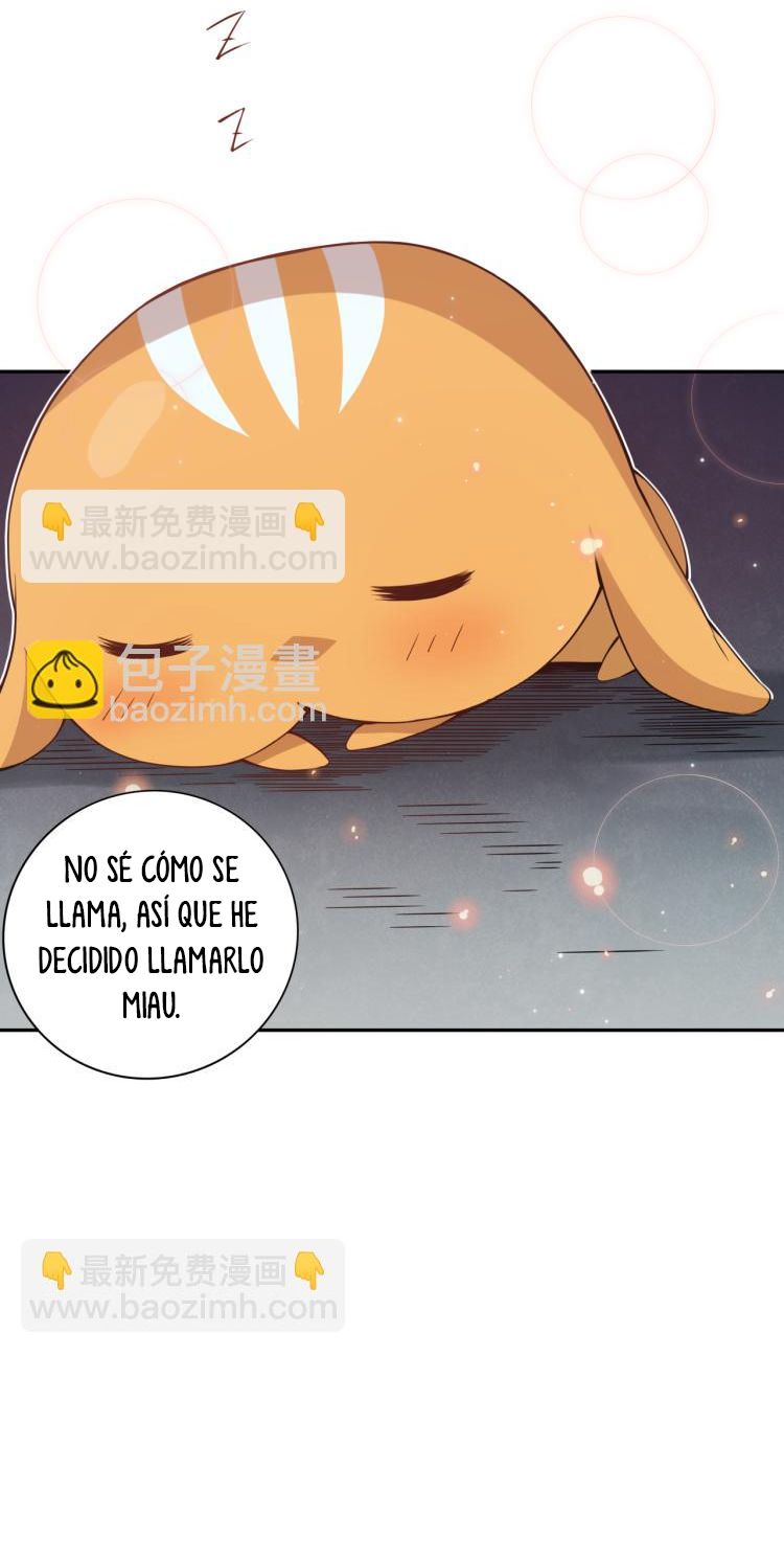 Página 53
