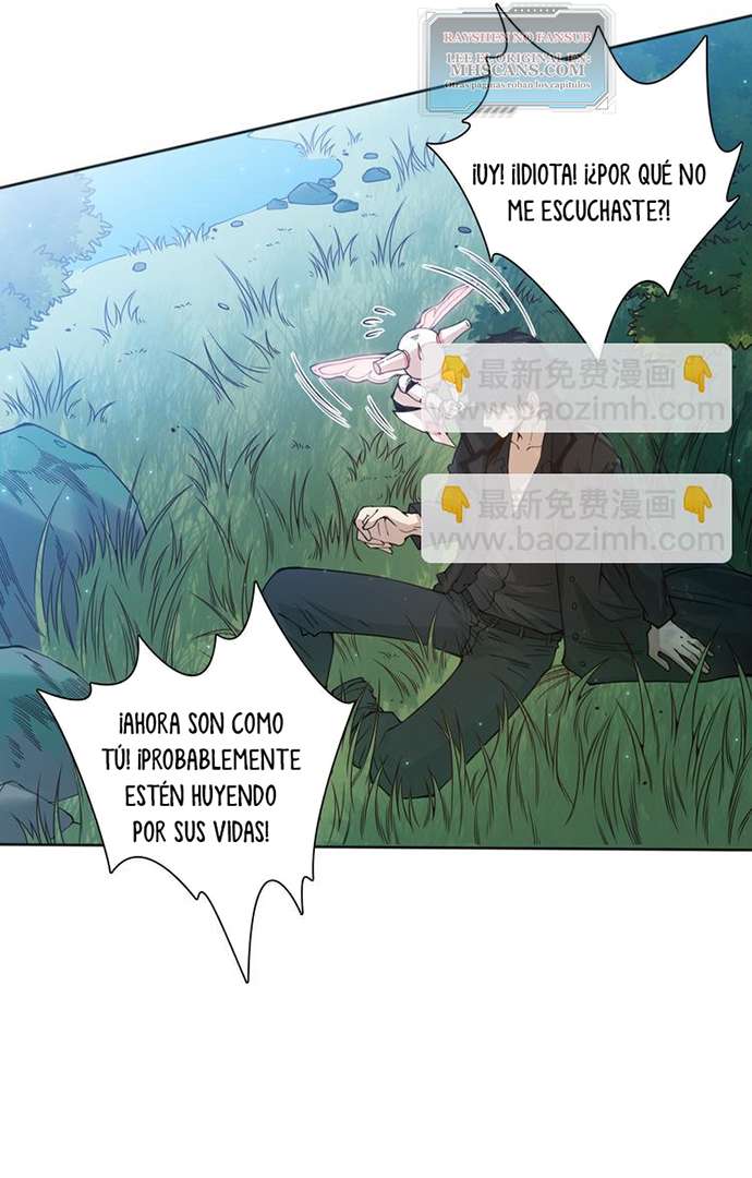 Página 41