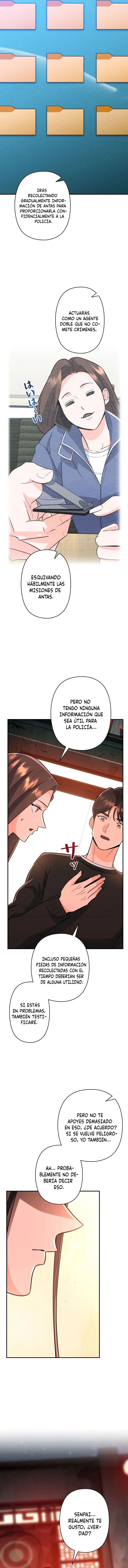 Página 17