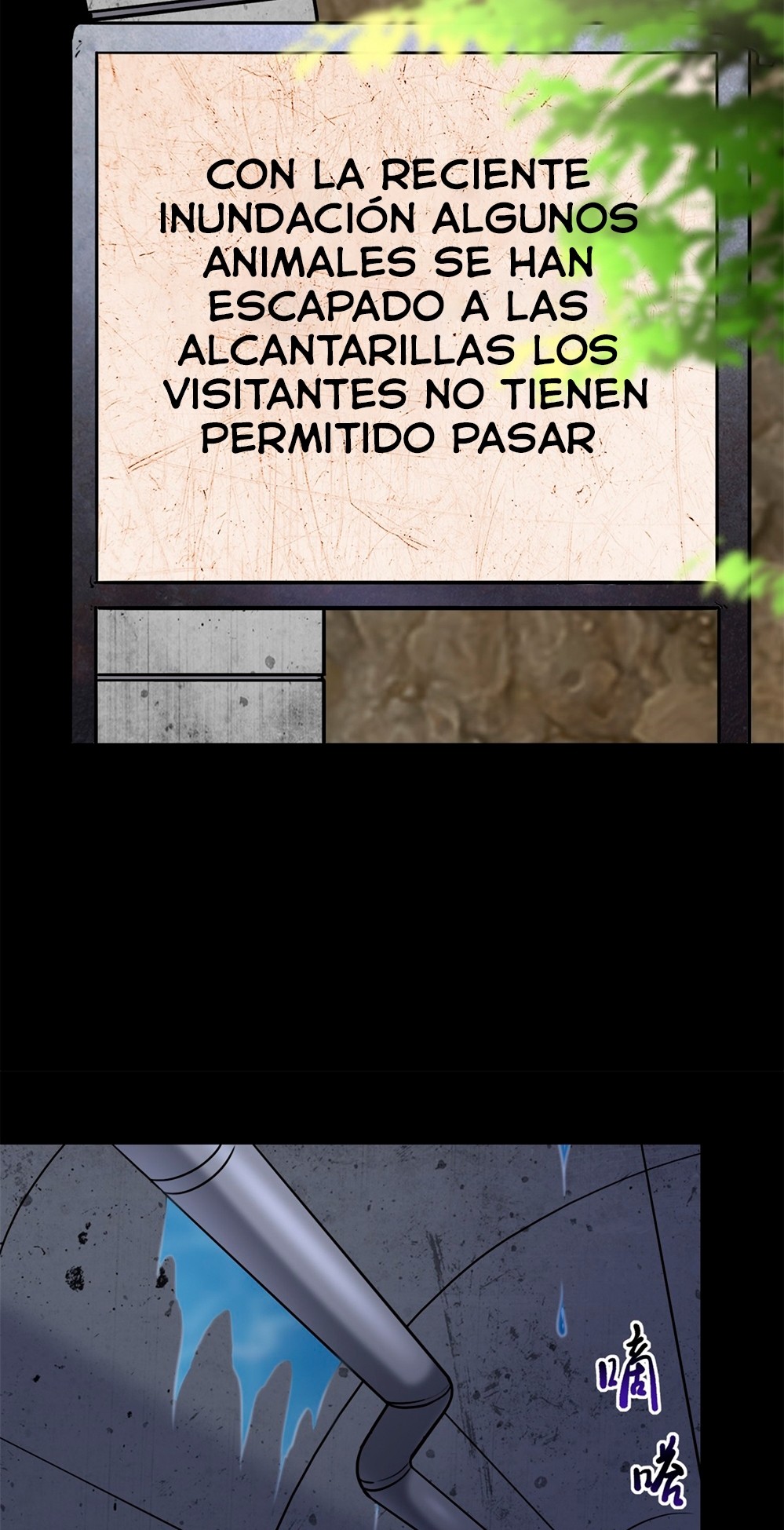Página 37