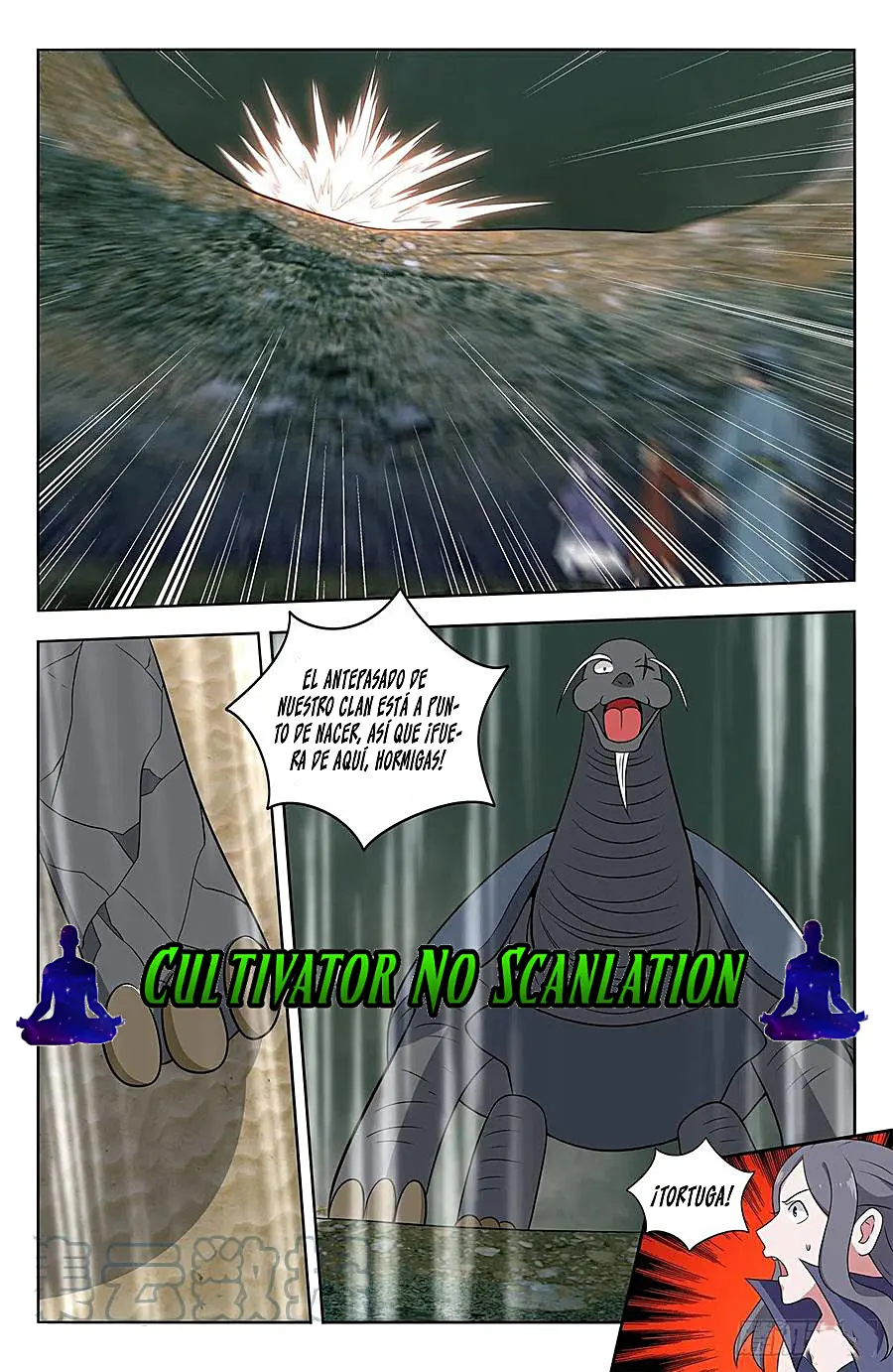 Página 8