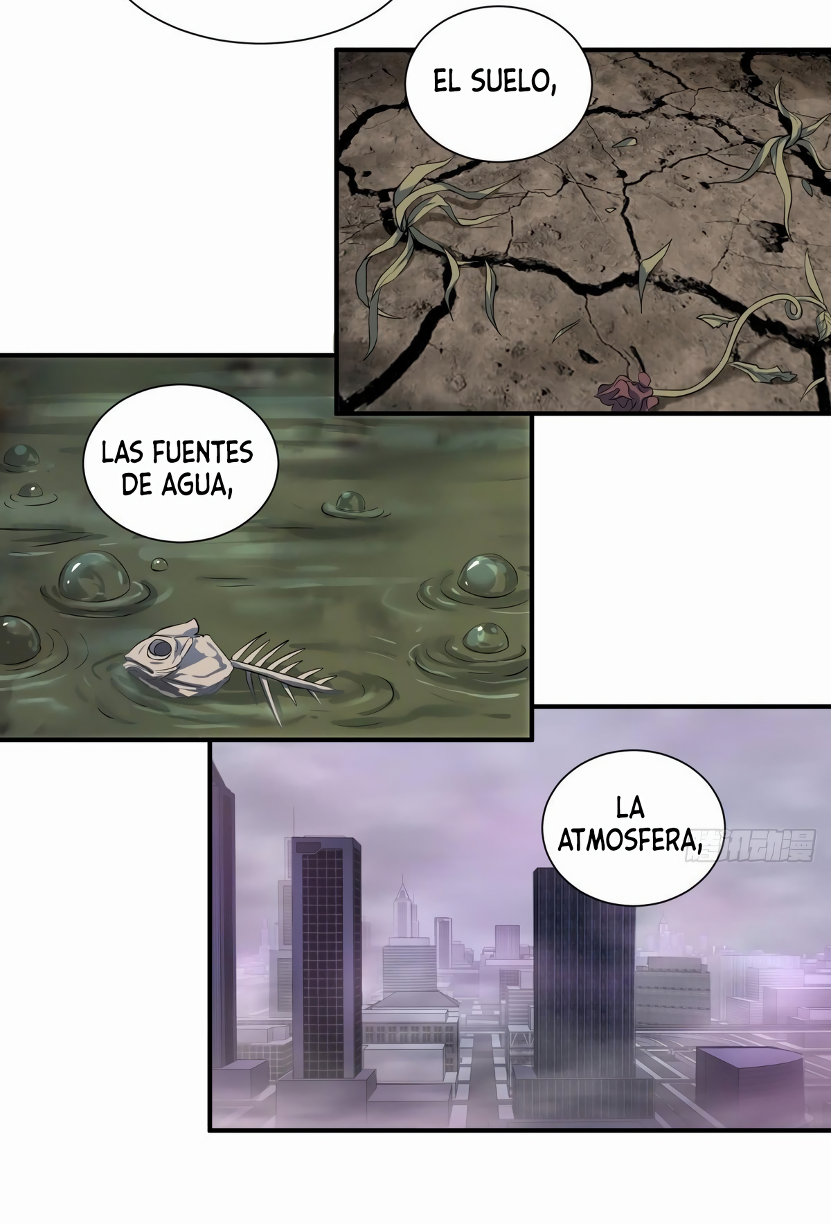 Página 4