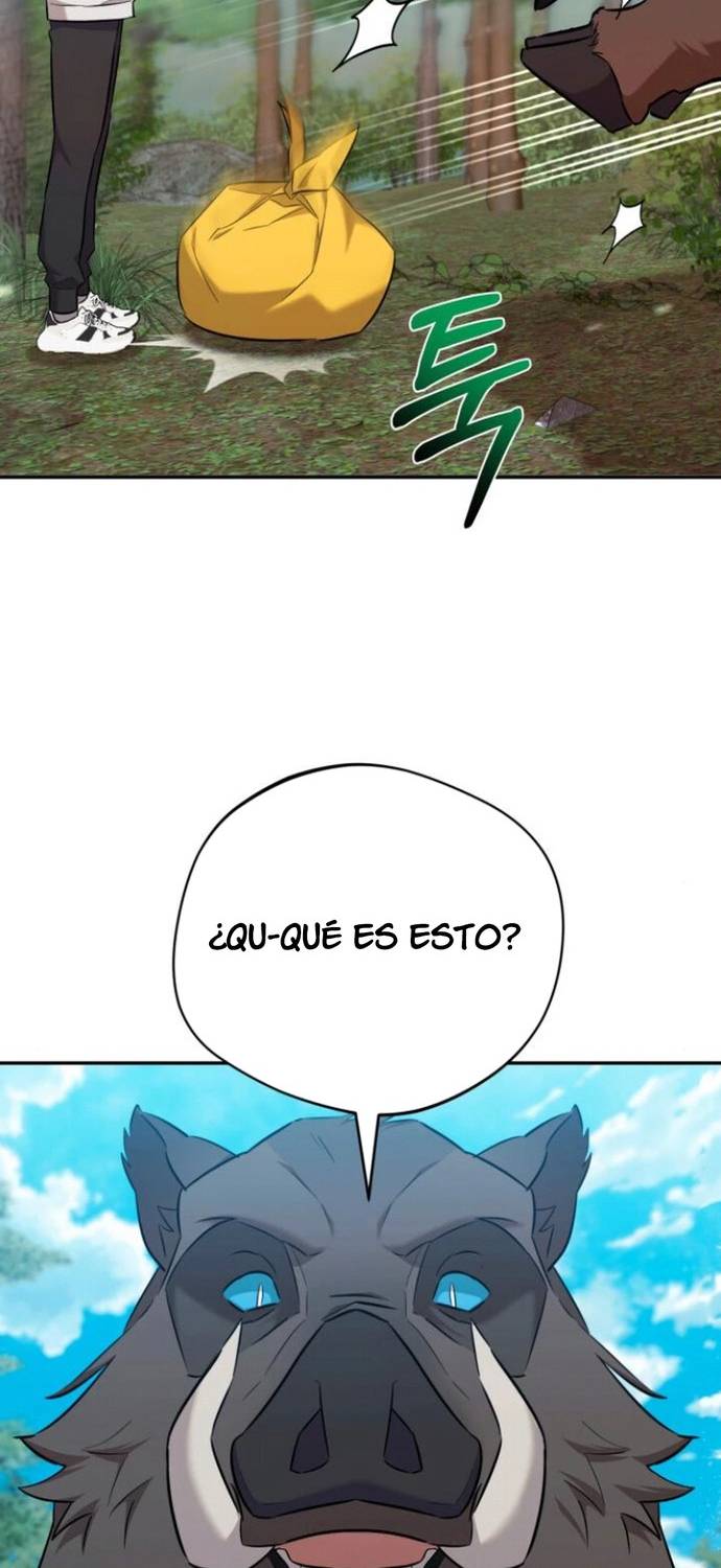 Página 43