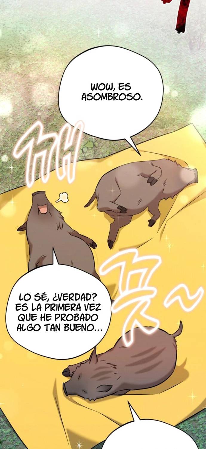 Página 51