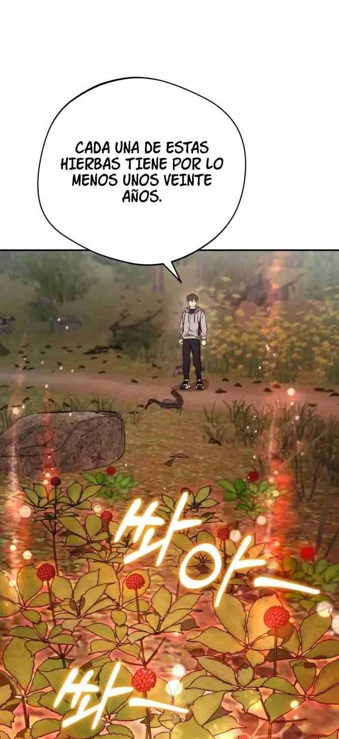 Página 43