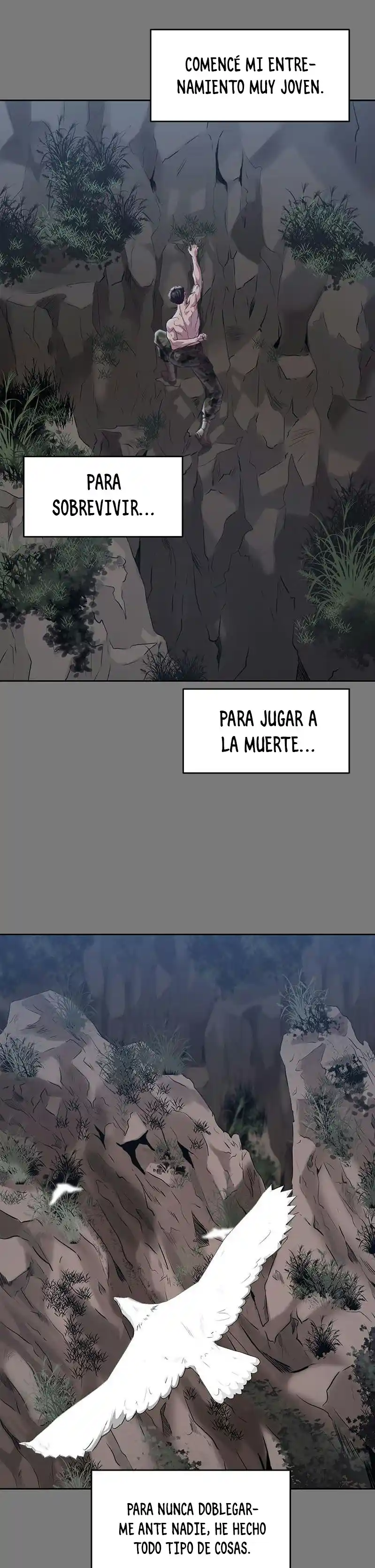 Página 19