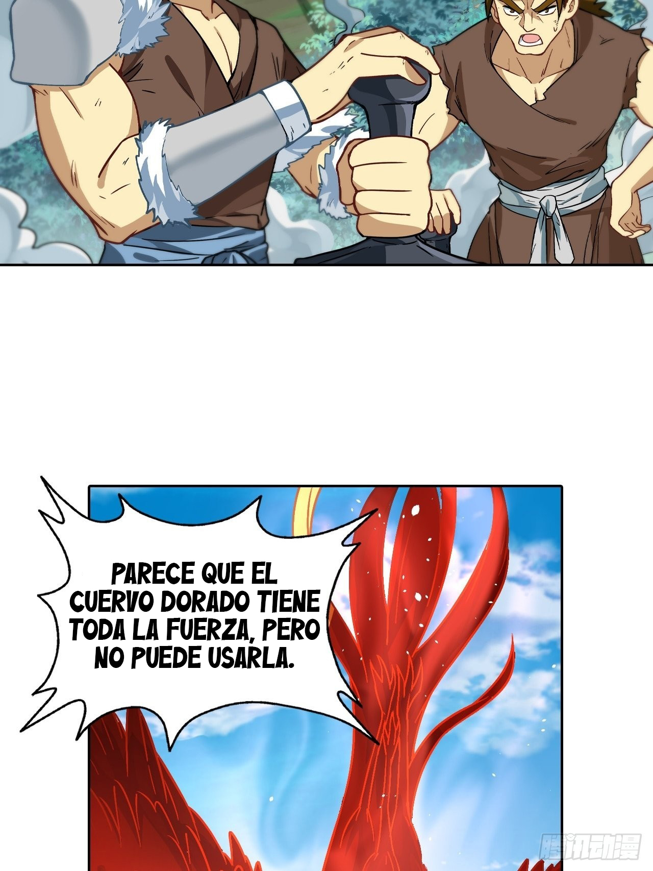 Página 5