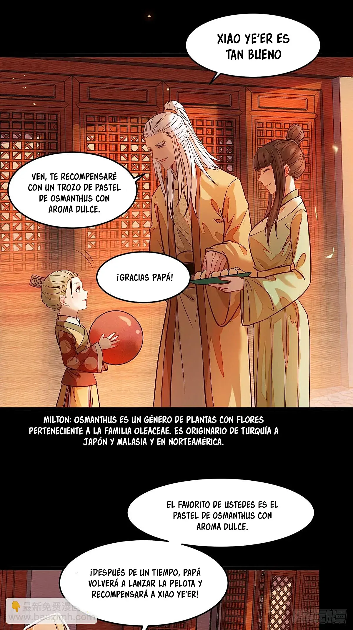 Página 17