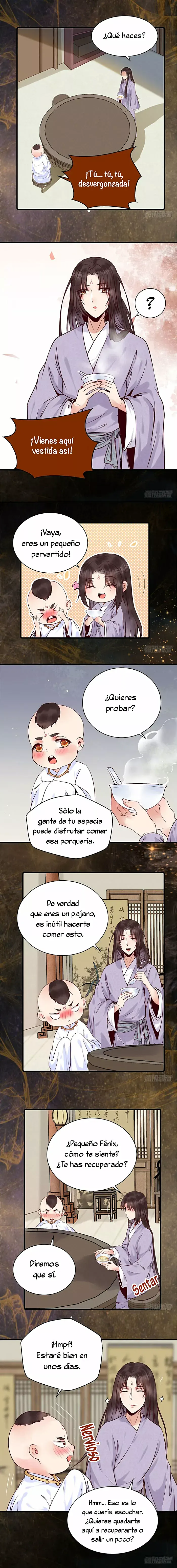 Página 5