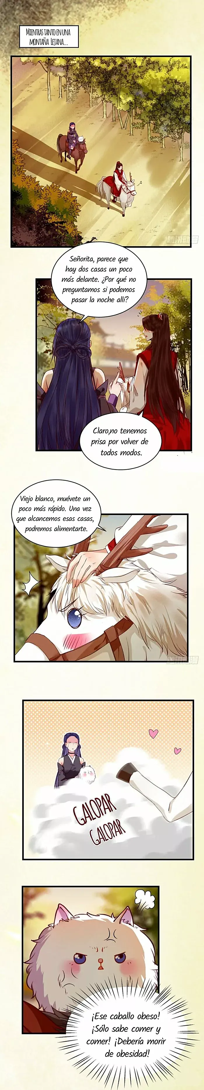 Página 7