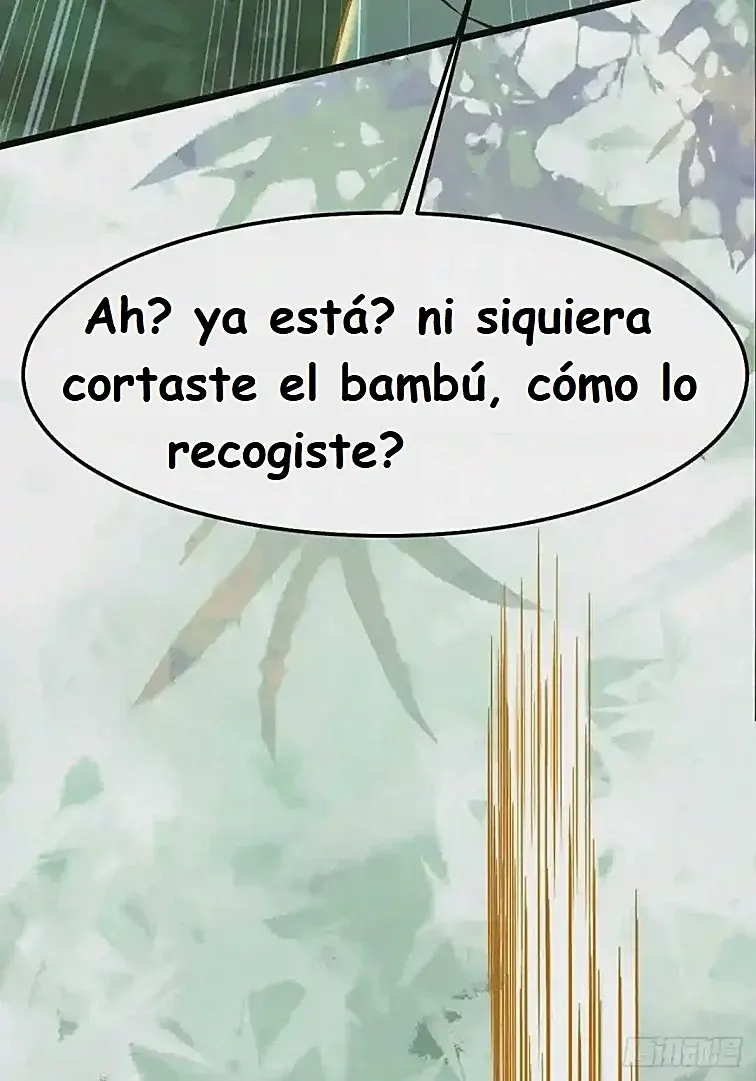 Página 43