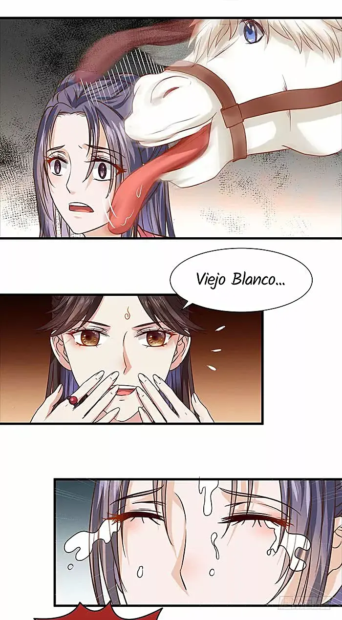Página 17