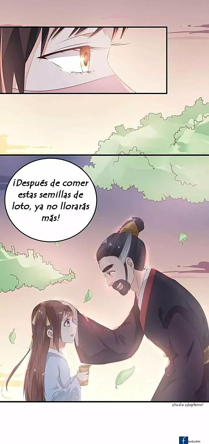 Página 19