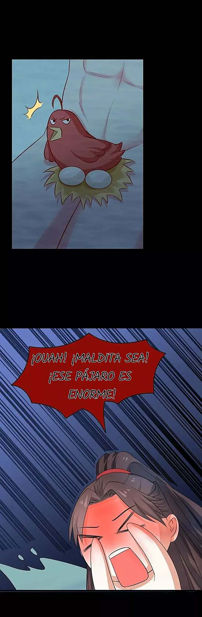 Página 13