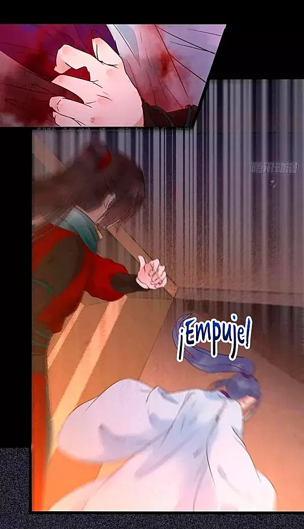 Página 31