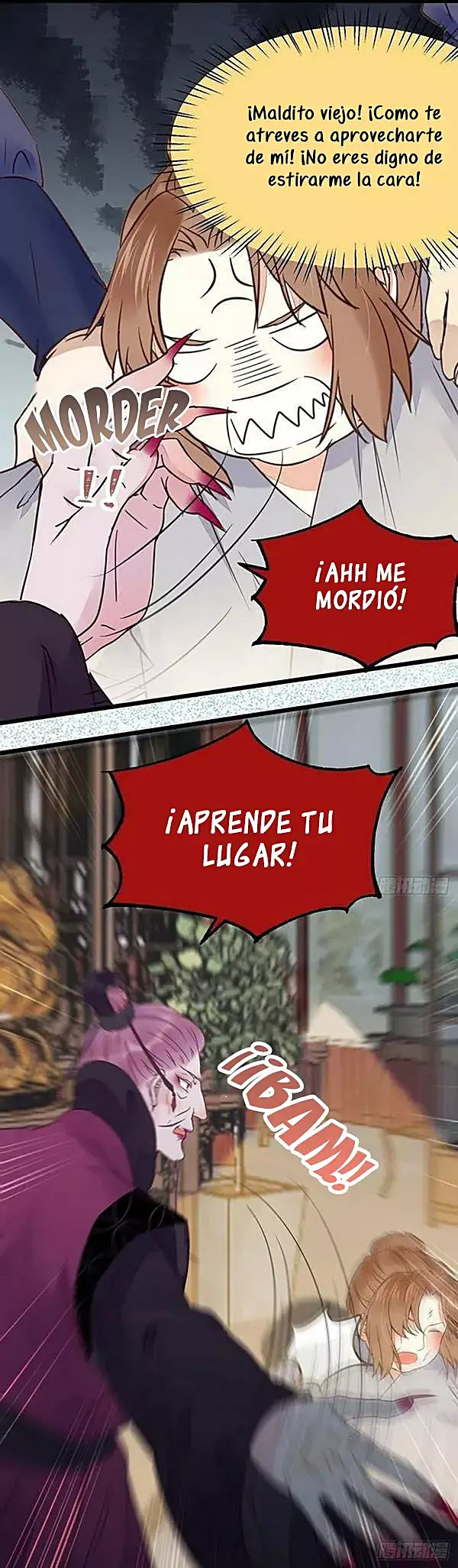 Página 11