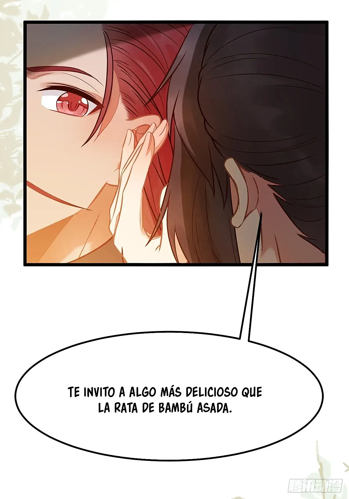 Página 29