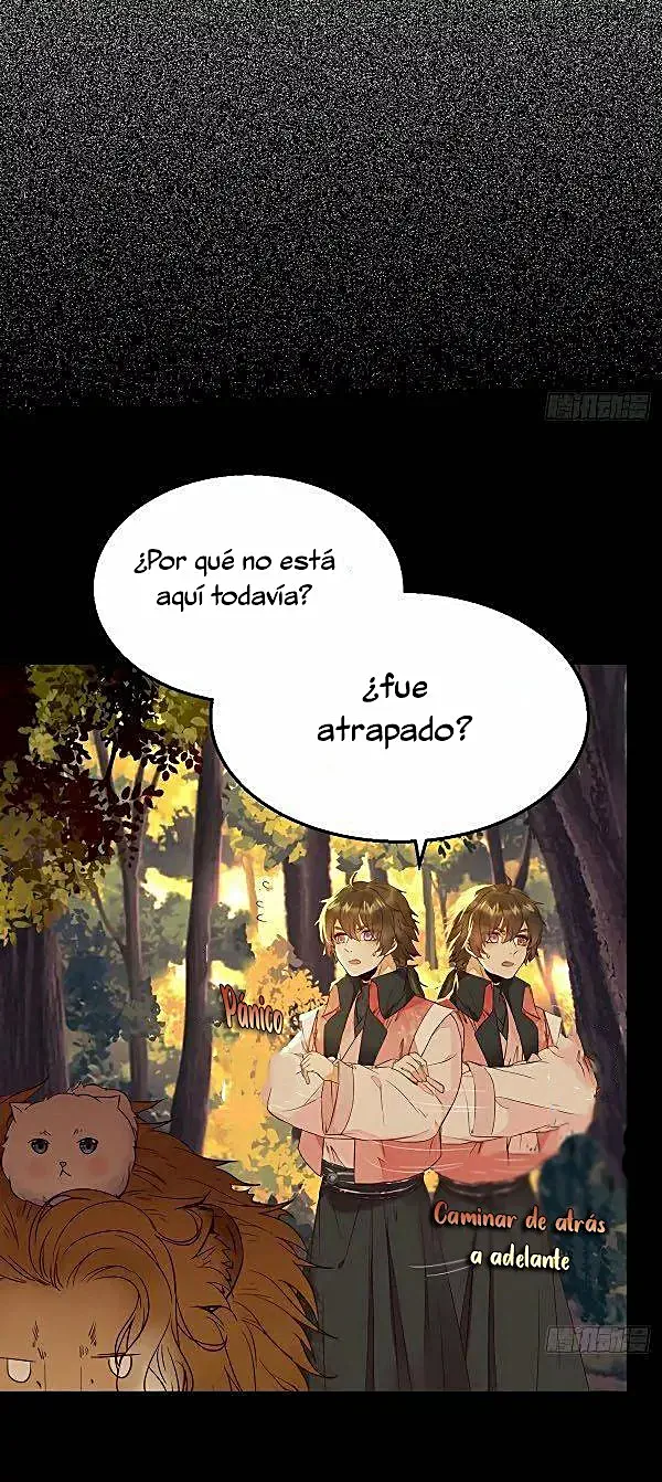 Página 27
