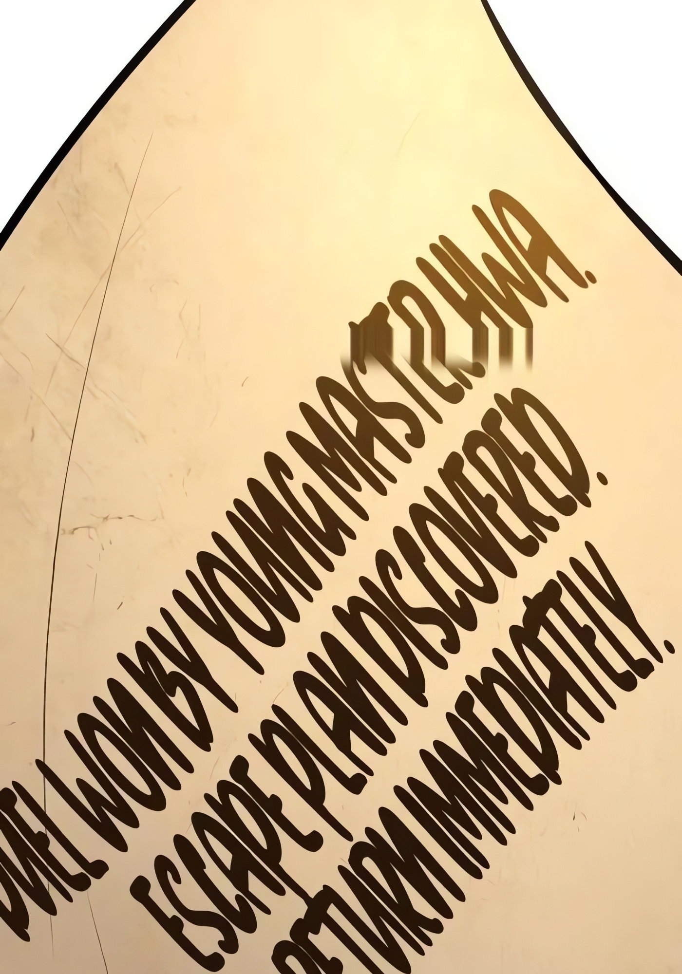 Página 205