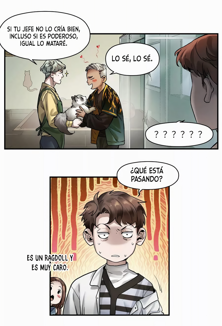 Página 19