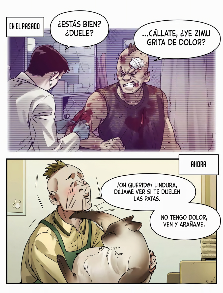 Página 20