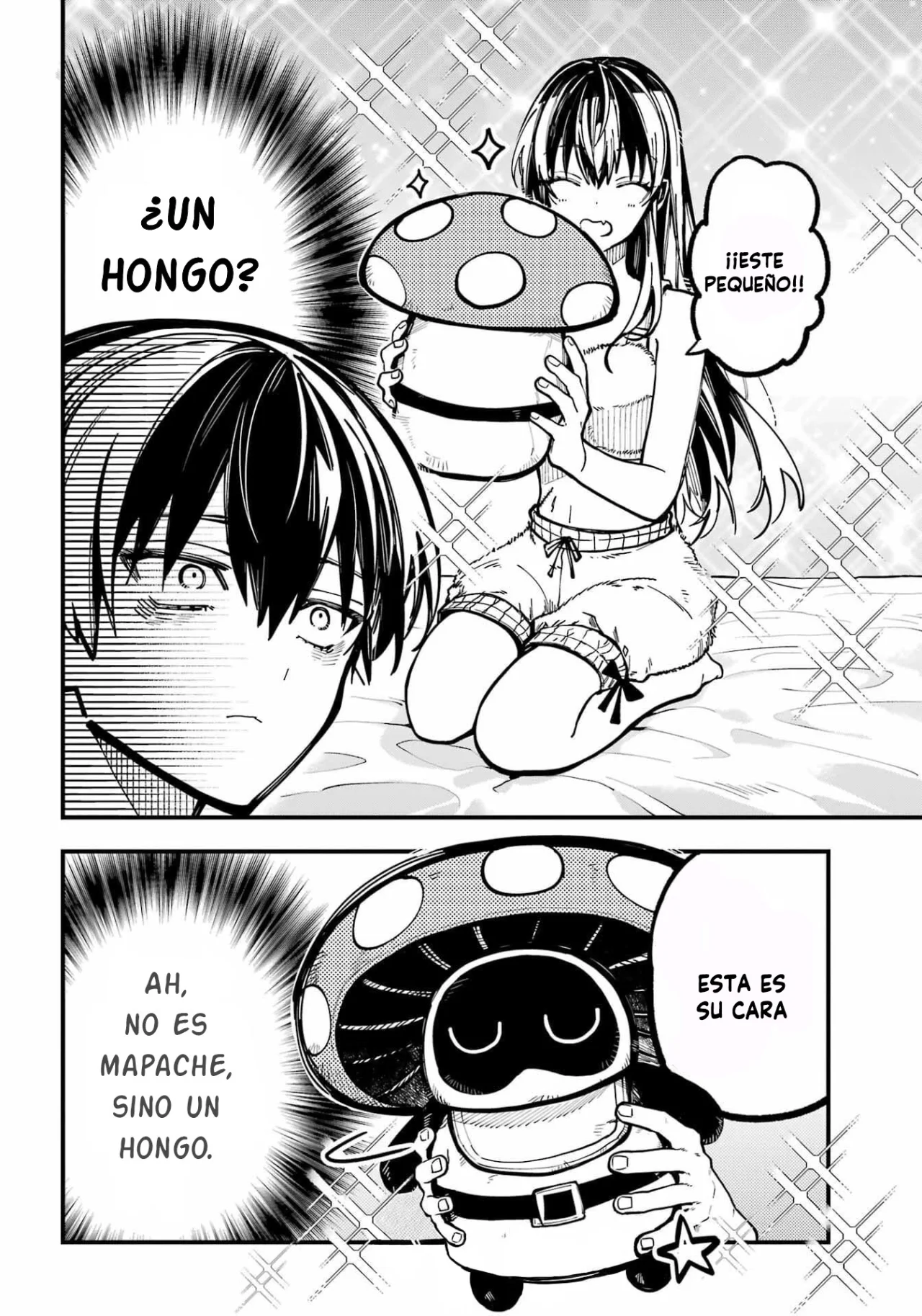 Página 13