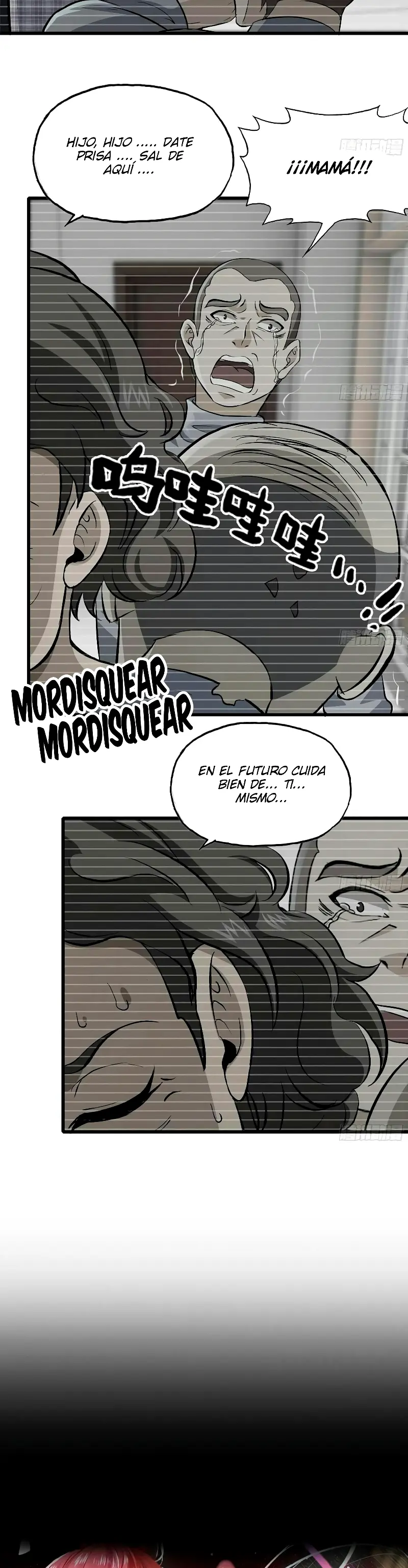 Página 17