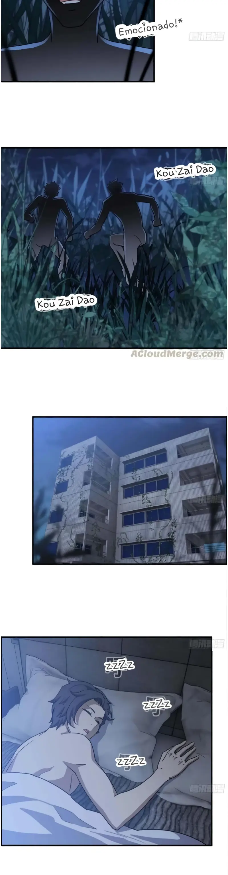 Página 5
