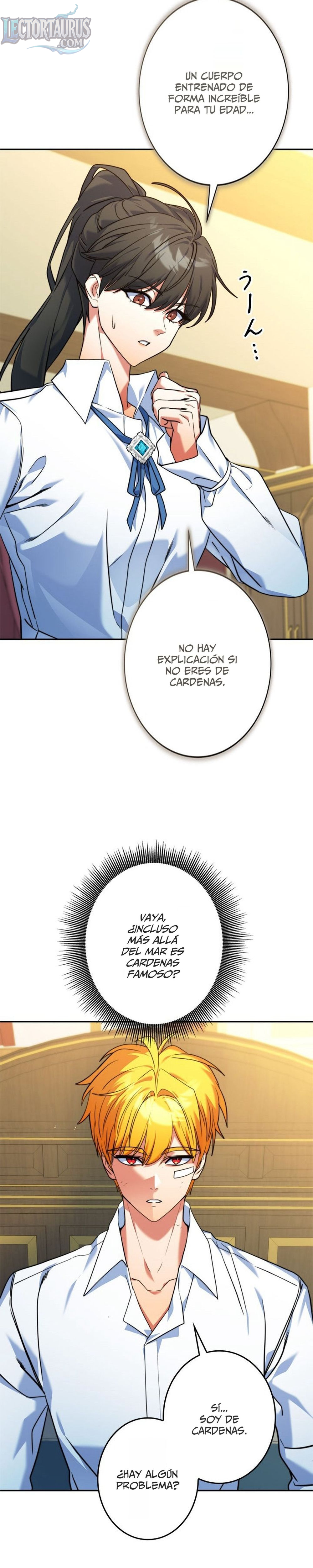 Página 17