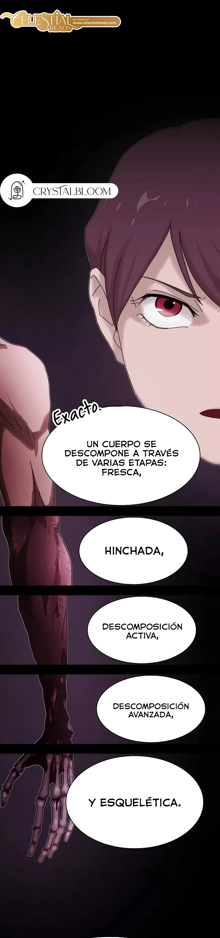 Página 25